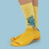 Socks Irises, MuseARTa x Van Gogh Museum