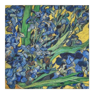 Van Gogh Luxury silk twill scarf Irises