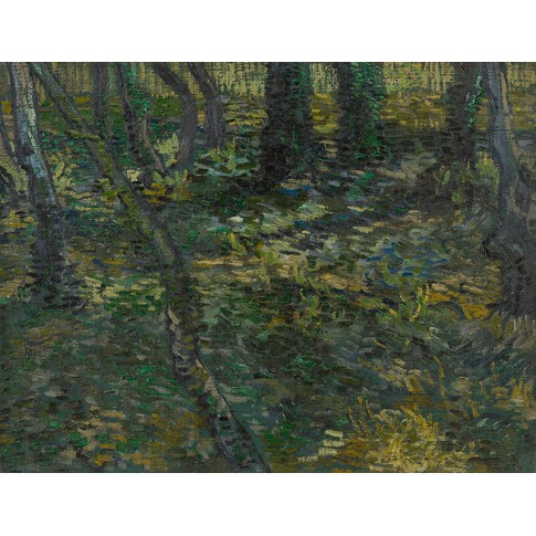 Van Gogh Giclée, Undergrowth