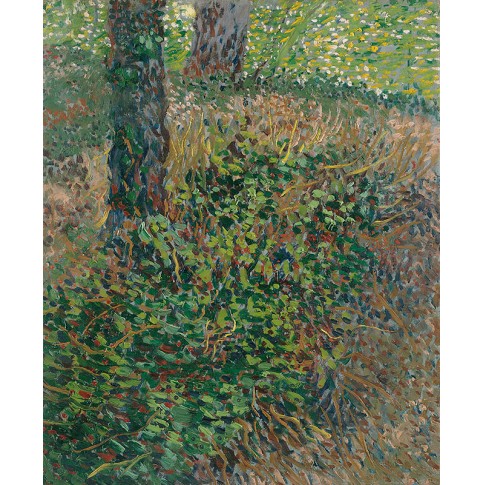 Van Gogh Giclée, Undergrowth