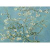 Van Gogh 3D Wallpaper Almond Blossom
