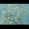 Van Gogh 3D Wallpaper Almond Blossom