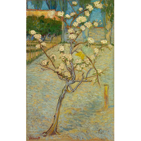 Van Gogh Giclée, Perenboompje in bloei