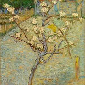 Van Gogh Giclée, Small Pear Tree in Blossom