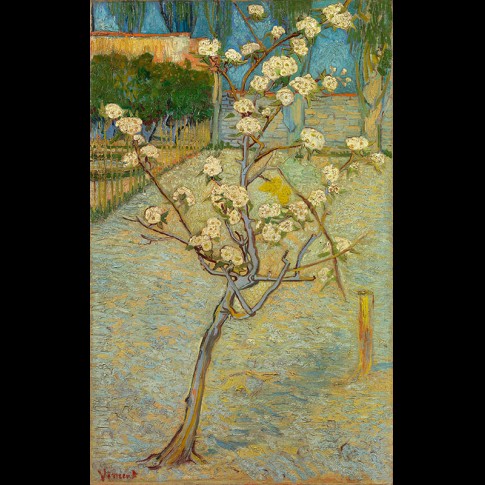 Van Gogh Giclée, Perenboompje in bloei