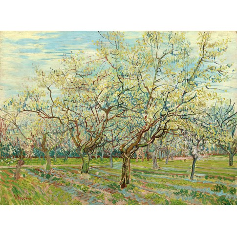 Van Gogh Giclée, De witte boomgaard