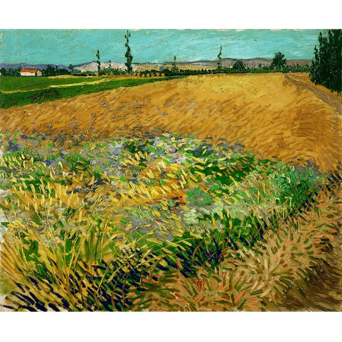 Van Gogh Giclée, Korenveld