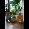 Unfold x Van Gogh Museum Stool Almond Blossom