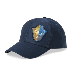 Van Gogh Cap Icon