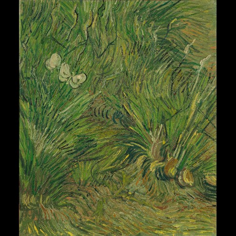 Van Gogh Giclée, Tuin met vlinders