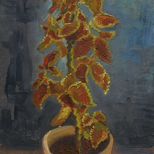 Van Gogh Giclée, Siernetel in bloempot