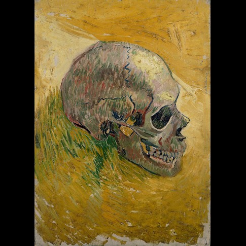 Van Gogh Giclée, Skull