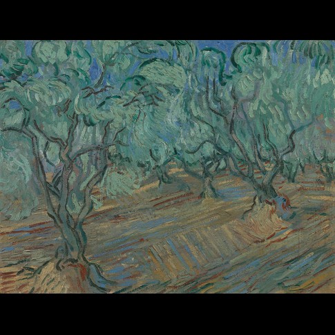 Van Gogh Giclée,Olijfgaard