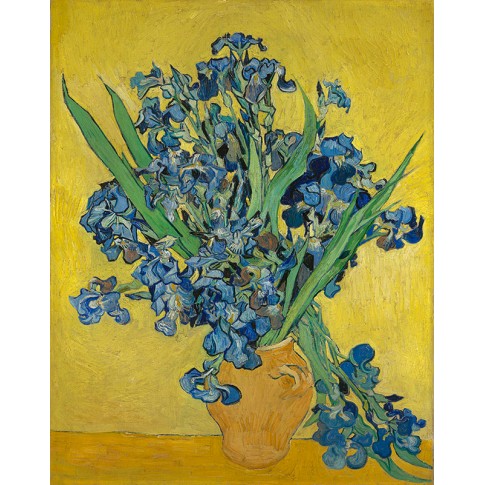 Van Gogh Giclée, Irissen