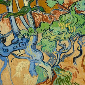 Tree Roots