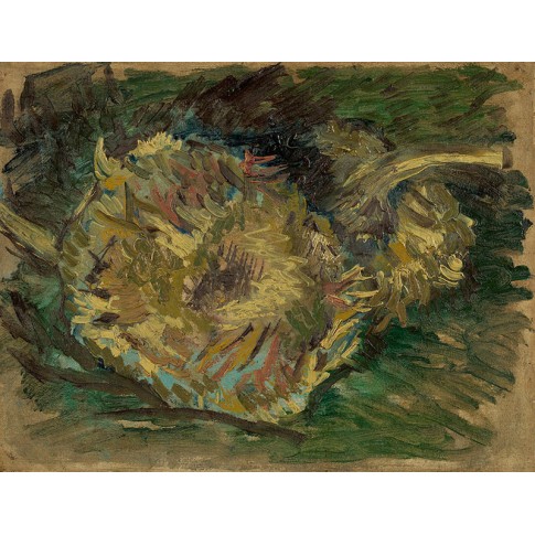 Van Gogh Giclée, Sunflowers Gone to Seed