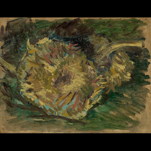 Van Gogh Giclée, Uitgebloeide zonnebloemen