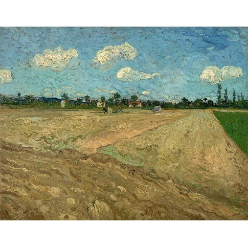 Van Gogh Giclée, Campo arado