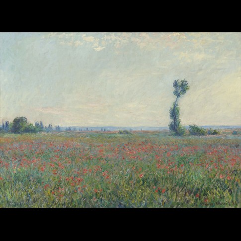 Art print Monet, Champ de coquelicots
