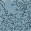 Bandolera Blossom Blue, MUD Jeans x Van Gogh Museum®