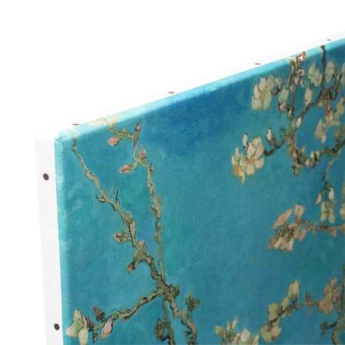 Canvas S Almond Blossom