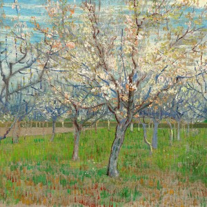 Van Gogh Giclée, De roze boomgaard