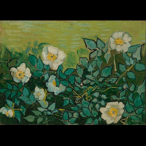 Van Gogh Giclée, Wild Roses