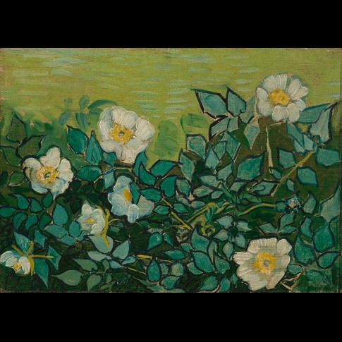 Van Gogh Giclée, Wilde rozen