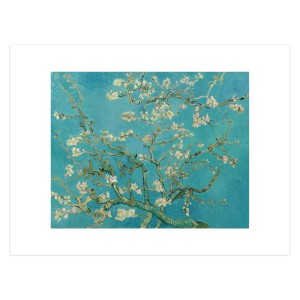 Lámina Van Gogh, Almendro en flor