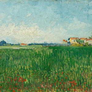 Van Gogh Giclée, Veld met klaprozen