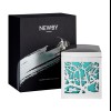 Té en lata plateada Van Gogh Newby, Almendro en flor