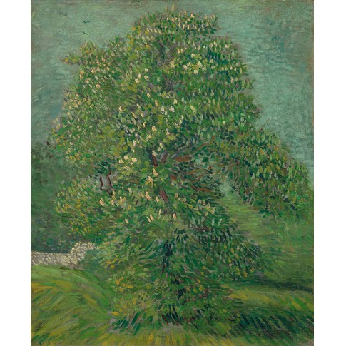 Van Gogh Giclée, Horse Chestnut Tree in Blossom