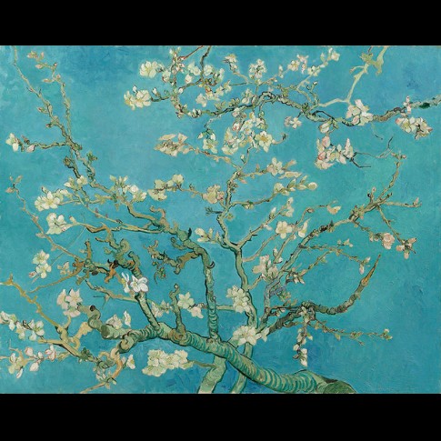 Van Gogh Giclée, Almendro en flor