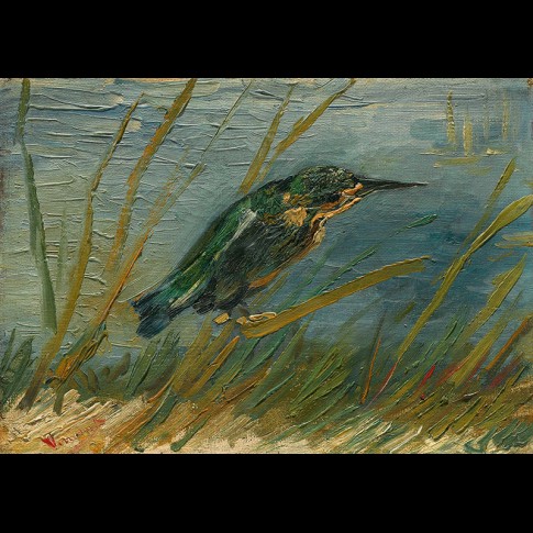 Van Gogh Giclée, IJsvogel aan de waterkant