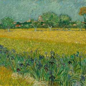 Van Gogh Giclée, Veld met irissen bij Arles