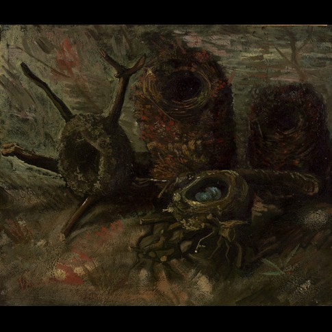 Van Gogh Giclée, Vier vogelnesten tegen een lichte achtergrond
