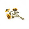 Broche Van Gogh Michael Michaud, Los girasoles