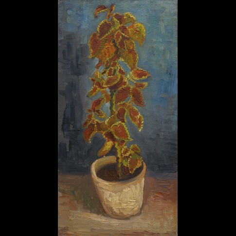 Van Gogh Giclée, Flame Nettle in a Flowerpot