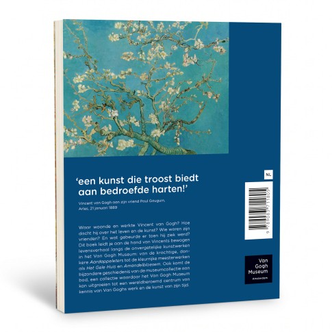 Oog in Oog met Vincent van Gogh NL