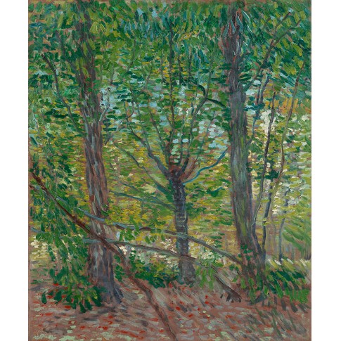Van Gogh Giclée, Trees