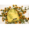 Day Pak'r Sunflowers, Eastpak x Van Gogh Museum®