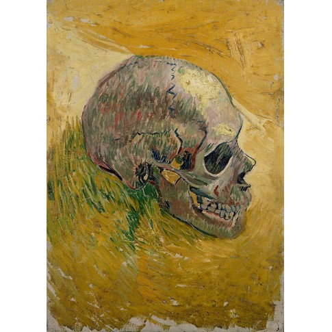 Van Gogh Giclée, Skull