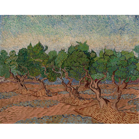 Van Gogh Giclée, Olive Grove
