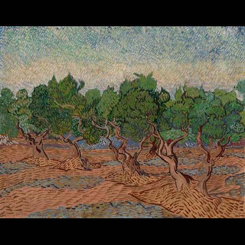 Van Gogh Giclée, Olijfgaard
