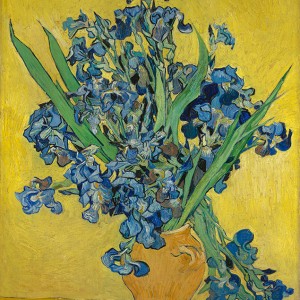 Van Gogh Giclée, Irissen