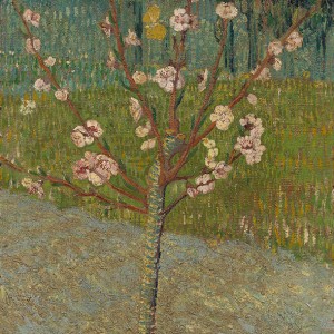 Van Gogh Giclée, Amandelboom in bloei