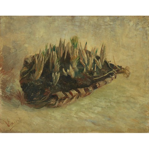 Van Gogh Giclée, Mand met krokusbollen