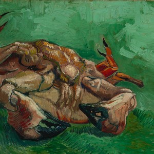Van Gogh Giclée, Een op zijn rug liggende krab