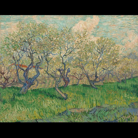Van Gogh Giclée, Bloeiende boomgaard