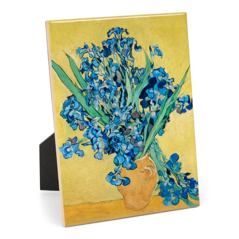 Van Gogh Tegel Irissen